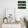Wall Hangings
